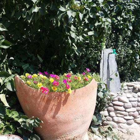 Areni Tavern-B&B Екстериор снимка