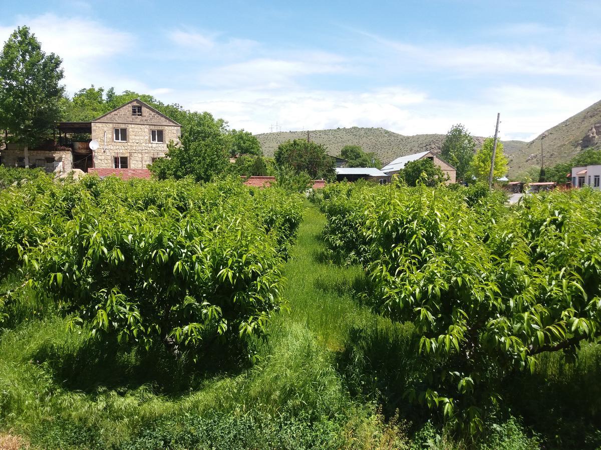 Areni Tavern-B&B Екстериор снимка